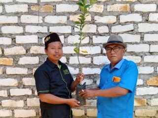 Melalui LPPNU, MWCNU Palengaan Bagikan Seribu Bibit Jeruk