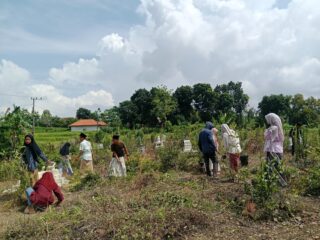 Bersama Warga, IPNU-IPPNU Banyupelle Bersih-bersih Pemakaman Buyut Hamid